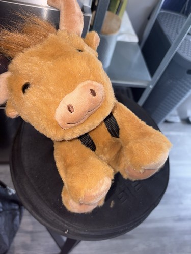 Cuddly toy dog with - dog, lead