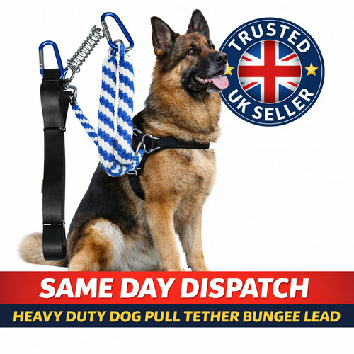 Heavy duty dog spring - duty, tug