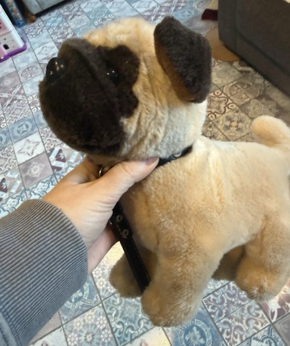 Pug plush dog with - plush,