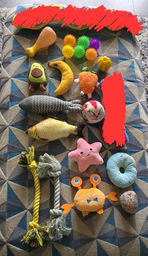 Dog cat toy harness - toy,