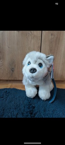 Husky with lead - soft, toy
