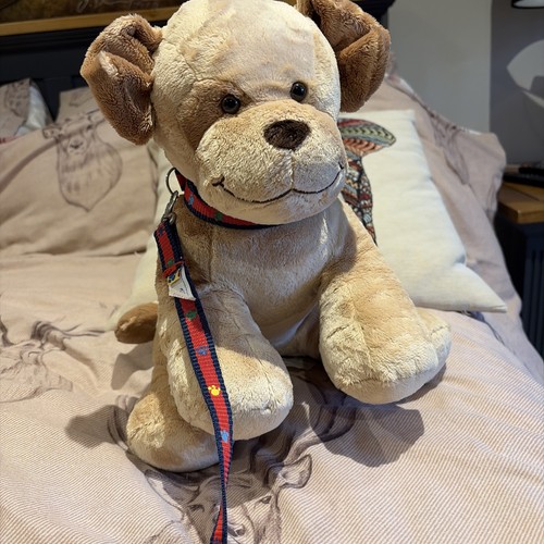 Build bear plush dog teddy - plush,