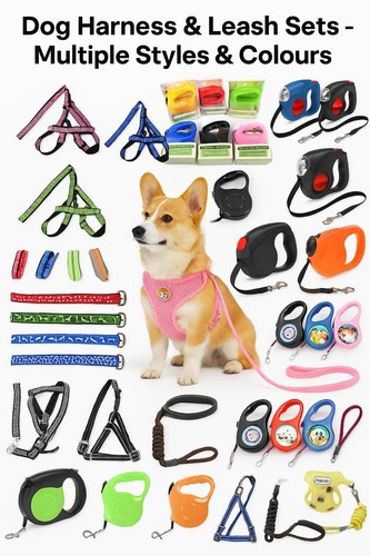 Pets dog leash - dog, harness