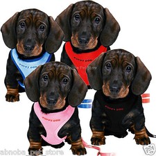 Trixie Soft Puppy Harness with