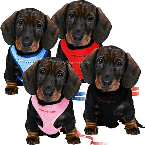 Trixie soft puppy harness - trixie,