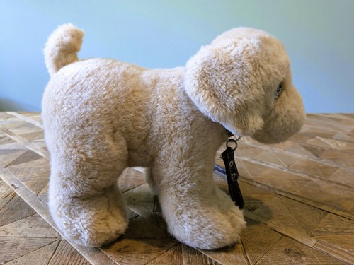 Keel golden labrador puppy dog - golden,