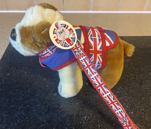 English bull dog with - english,