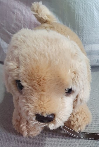 Keel labrador cream plush - 🐶keel,