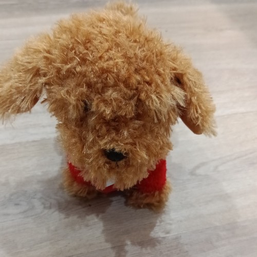 Waffle the wonder - the, dog