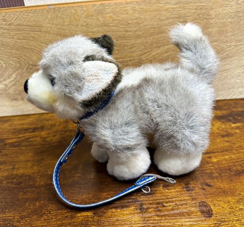 Official lapland husky - official,