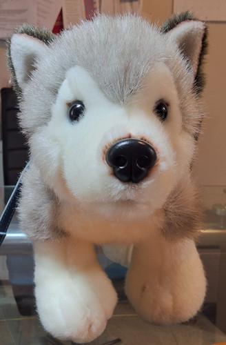 Keel toys standing - husky, dog