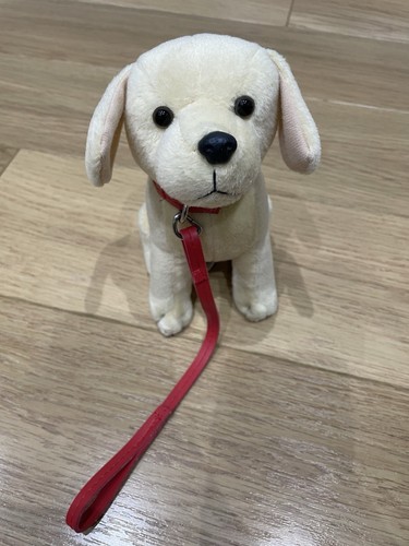 Dog teddy with red lead - dog,