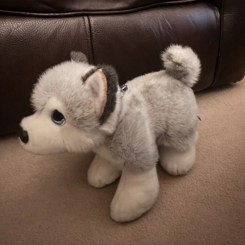 Keel toys husky - toys,