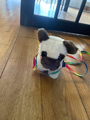 Small plush dog soft toy - plush,