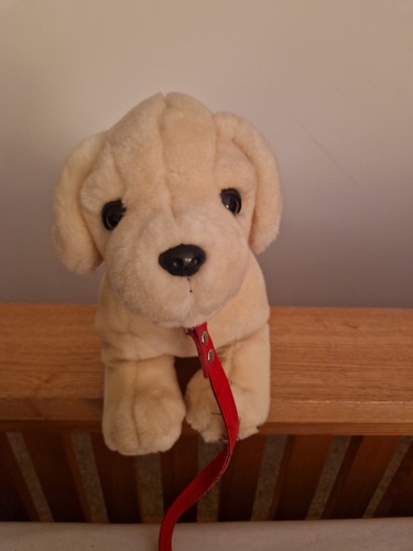 Keel plus soft toy labrador - keel,