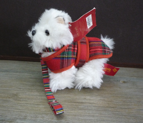 Westie west highland terrier - highland,