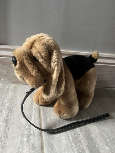 Elc bassett hound - bassett,