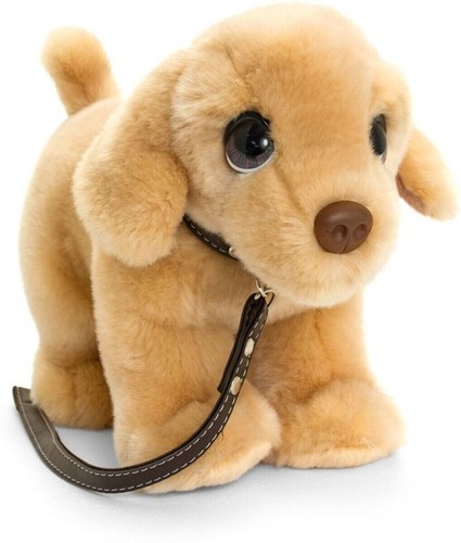 Keel golden labrador puppy dog - golden,