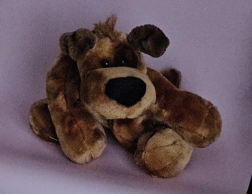 Telitoy hound dog - hound, collar