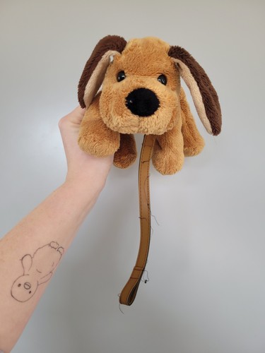 Pets home floppy dog - home,
