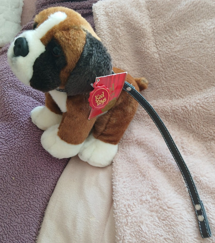 Keel toys puppy - toys, dog