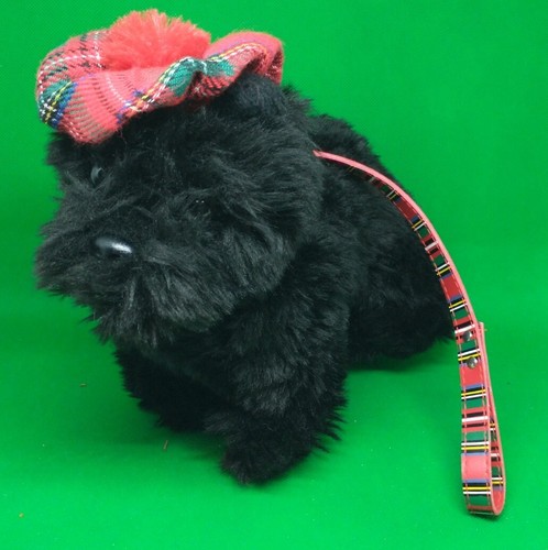 Rare posh paws black - black, terrier